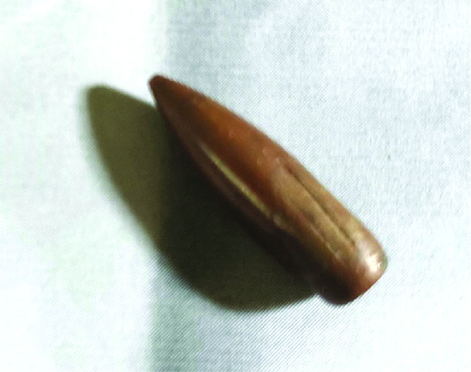 Image of মিনহাজ আহমদ